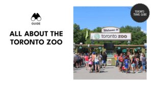 Toronto Zoo