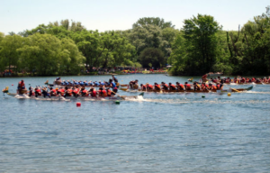 Toronto International Dragon Boat Race Festival
