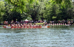 Toronto International Dragon Boat Race Festival