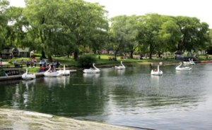 Toronto Islands - Swan Ride, Centreville Amusement Park