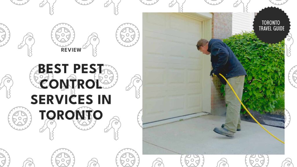 11 Best Pest Control Services in Toronto