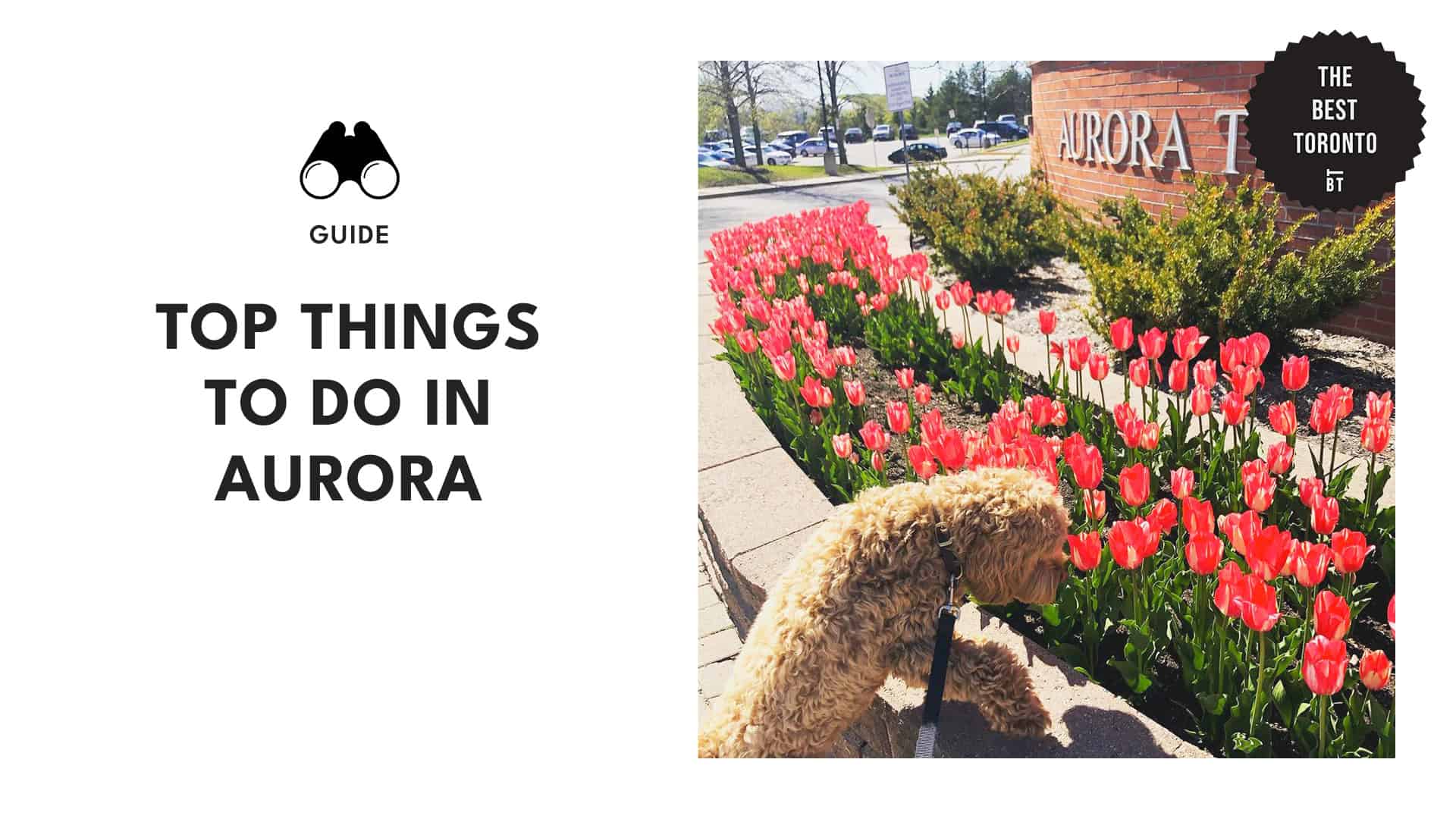 10 Things to Do in Aurora that You May Not Know About 