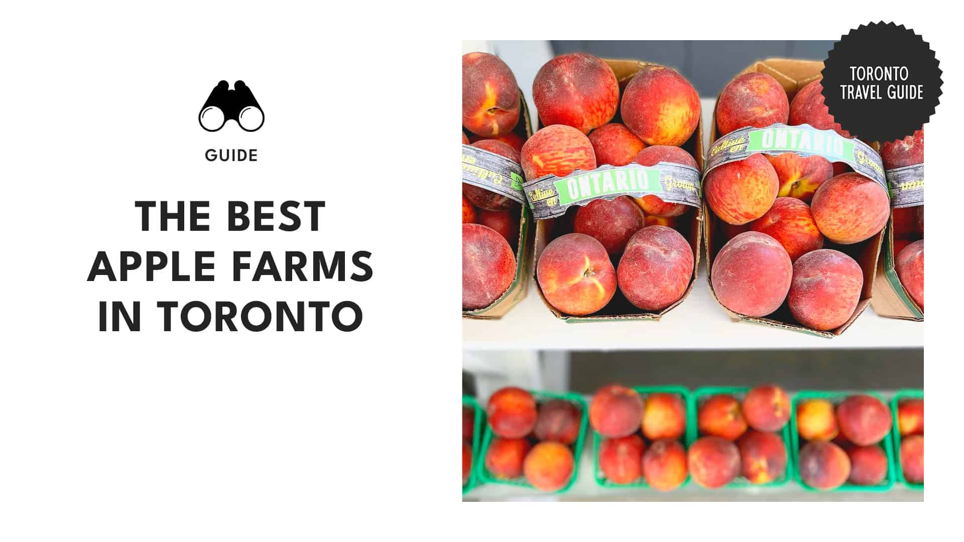 Sweet to the Core Top Apple Farms near Toronto