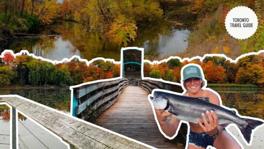 All You Need to Know About Rouge National Urban Park [2026]