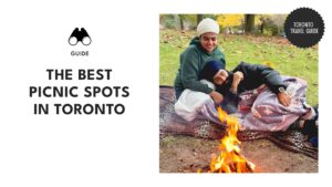 best-picnic-spots-in-toronto