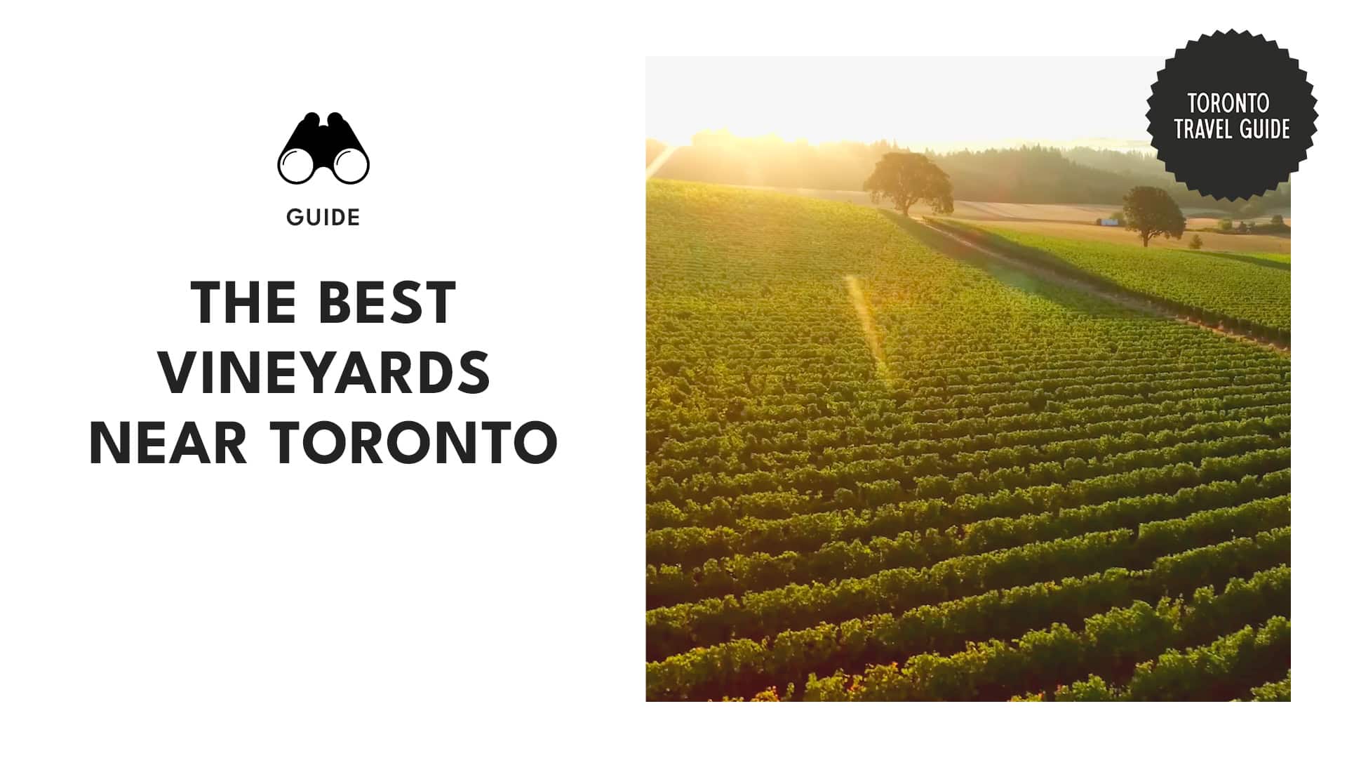 the-top-vineyards-near-toronto