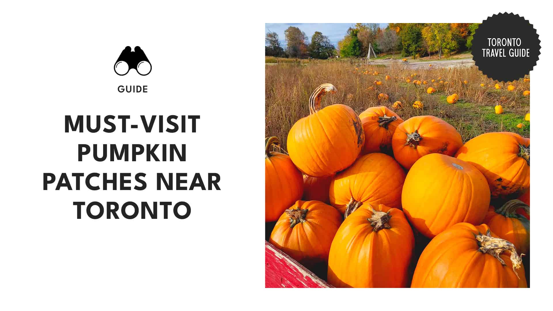 best-pumpkin-patches-near-toronto