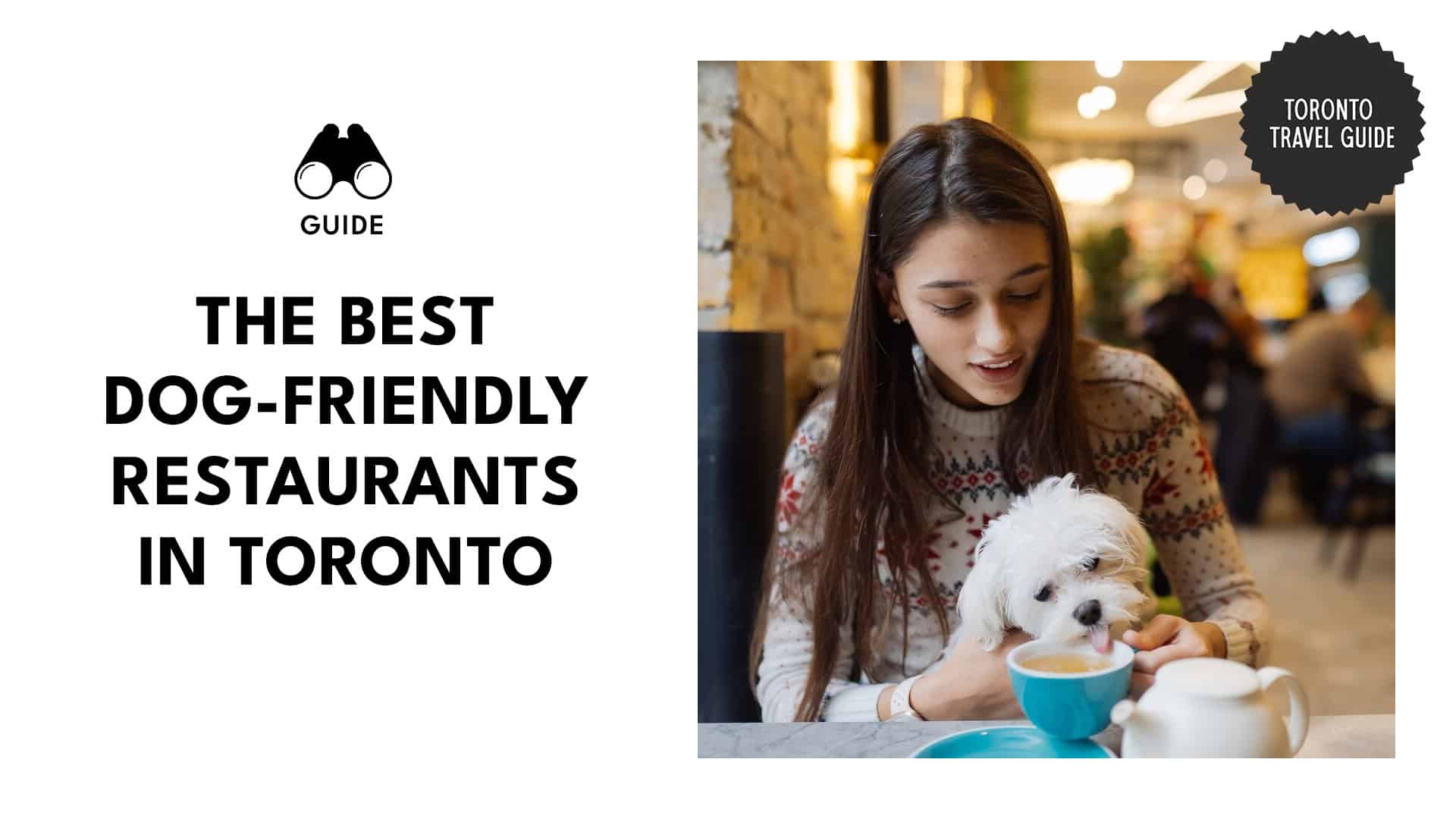 dog-friendly-restaurants-toronto