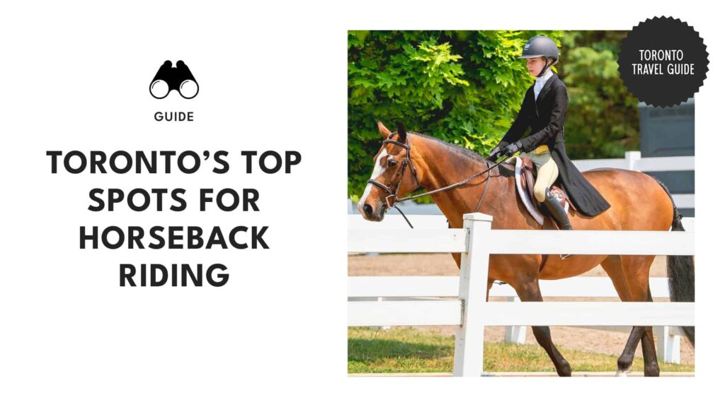 Top 11 Spots for Horseback Riding Around Toronto