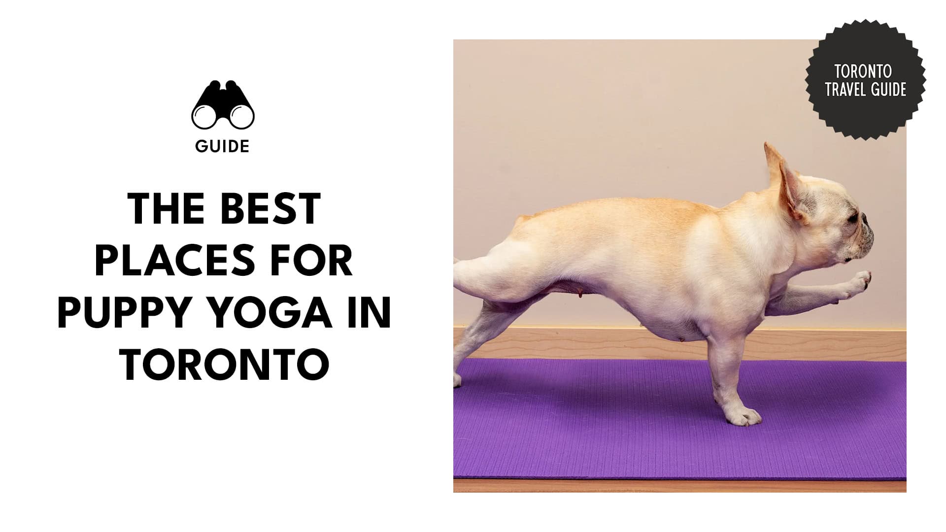 puppy-yoga-toronto