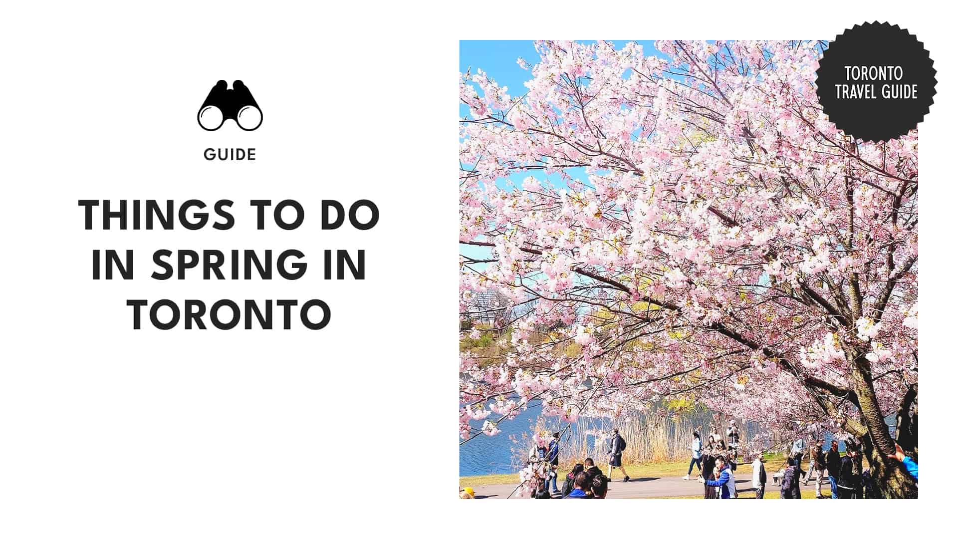 spring-in-toronto