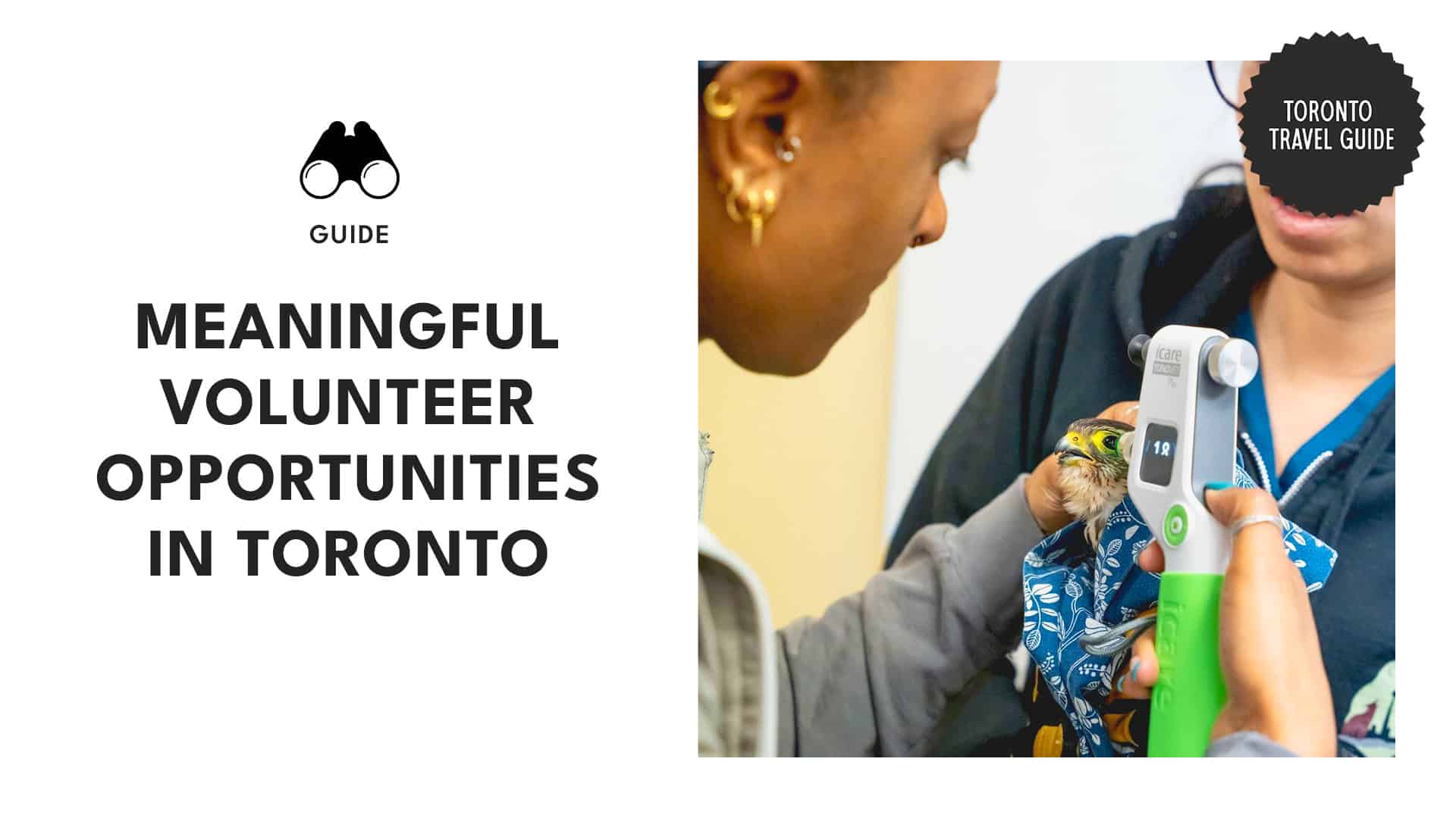 volunteer-opportunities-in-toronto