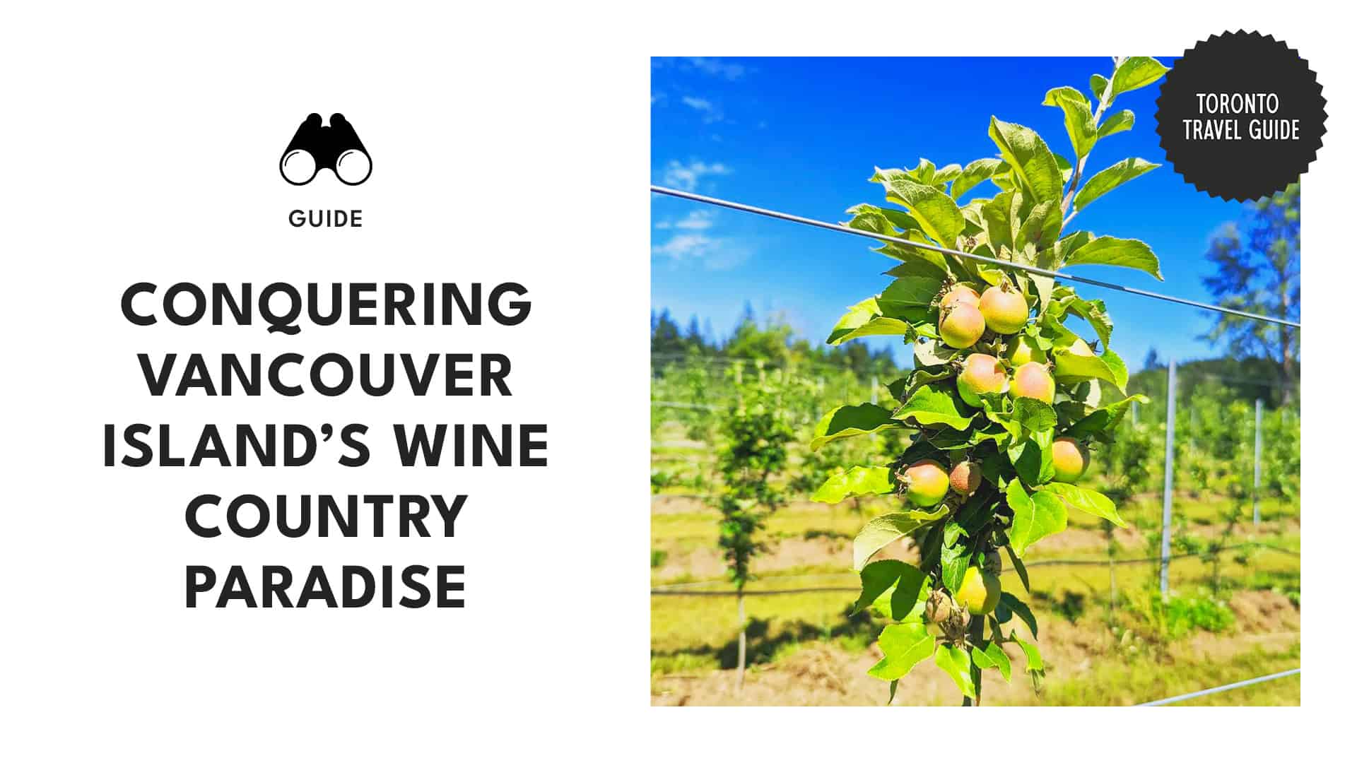 wine-country-paradise-toronto