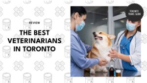 What You Mustn’t Miss In The Danforth: A Neighbourhood Guide