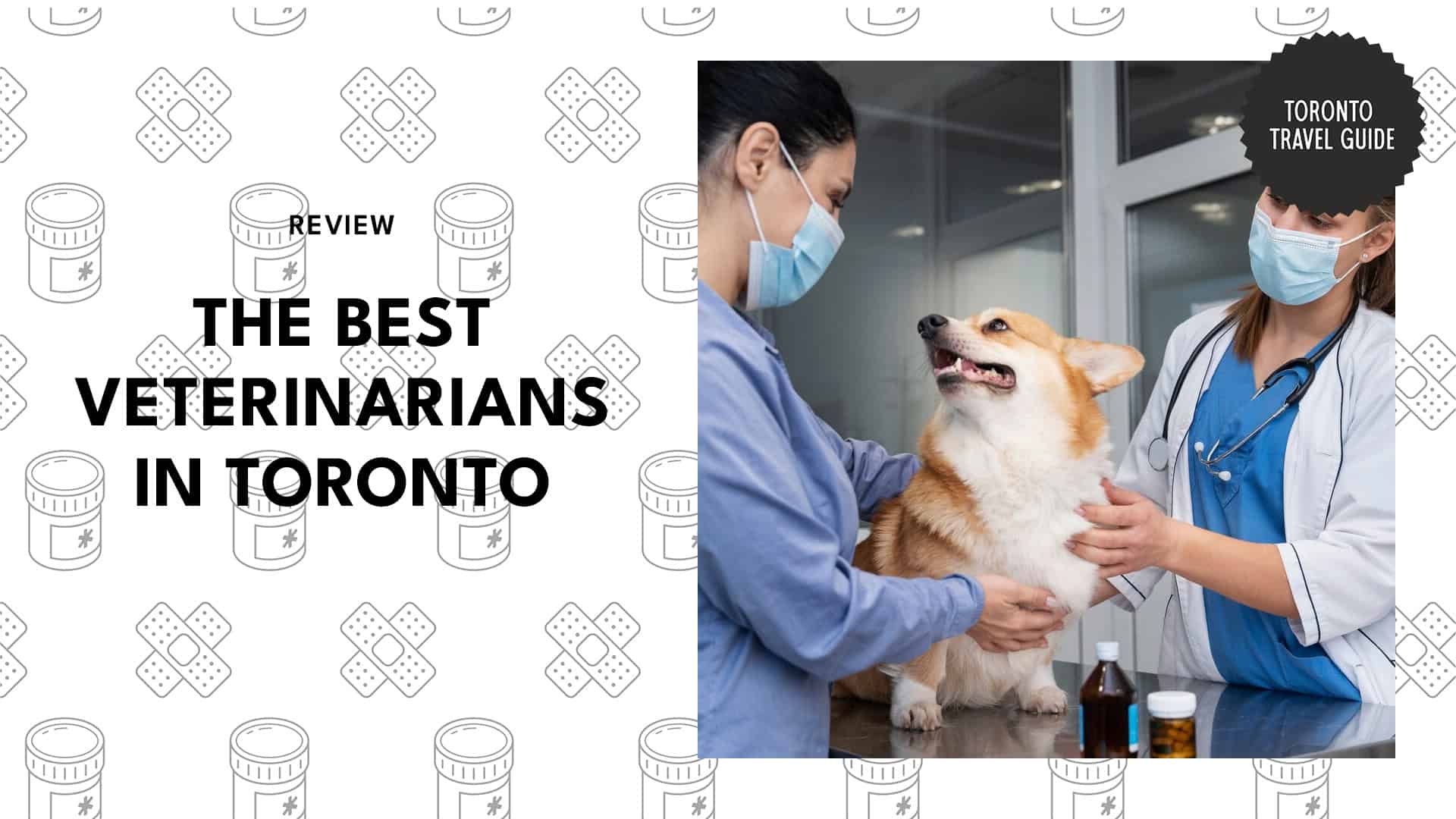 veterinarians-in-toronto