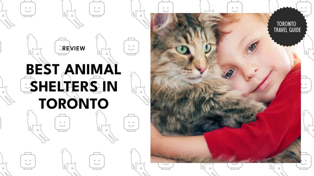 What You Mustn’t Miss In The Danforth: A Neighbourhood Guide