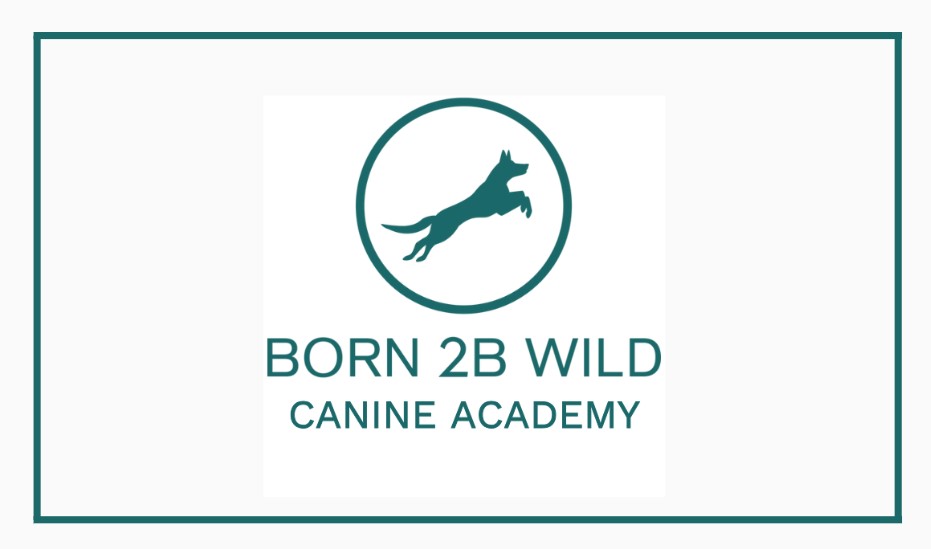 Born 2B Wild Canine Academy