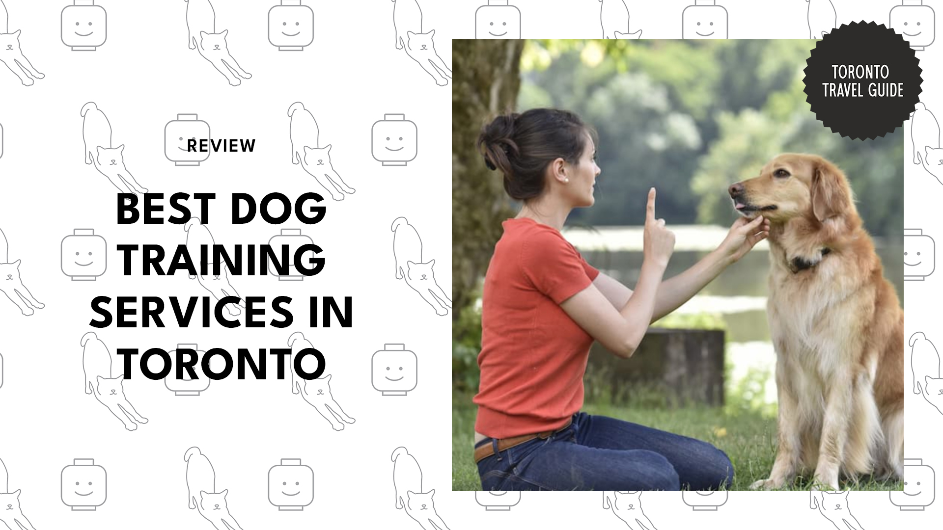 dog-training-services-toronto-banner