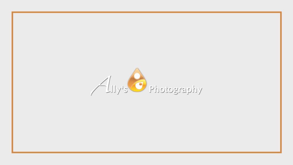 ally-s-photography