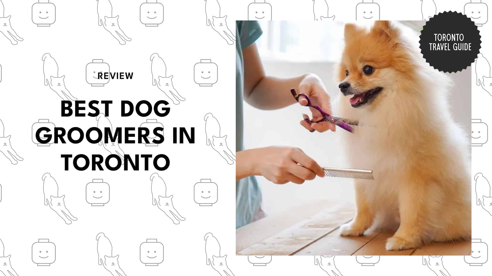 dog-grooming-shops-in-toronto