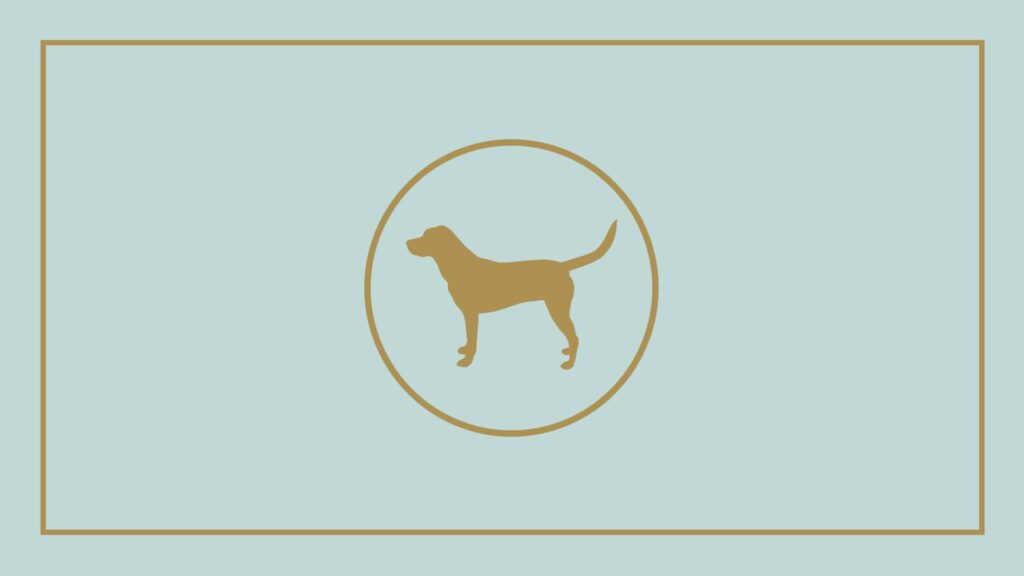 dog-world-resort-spa