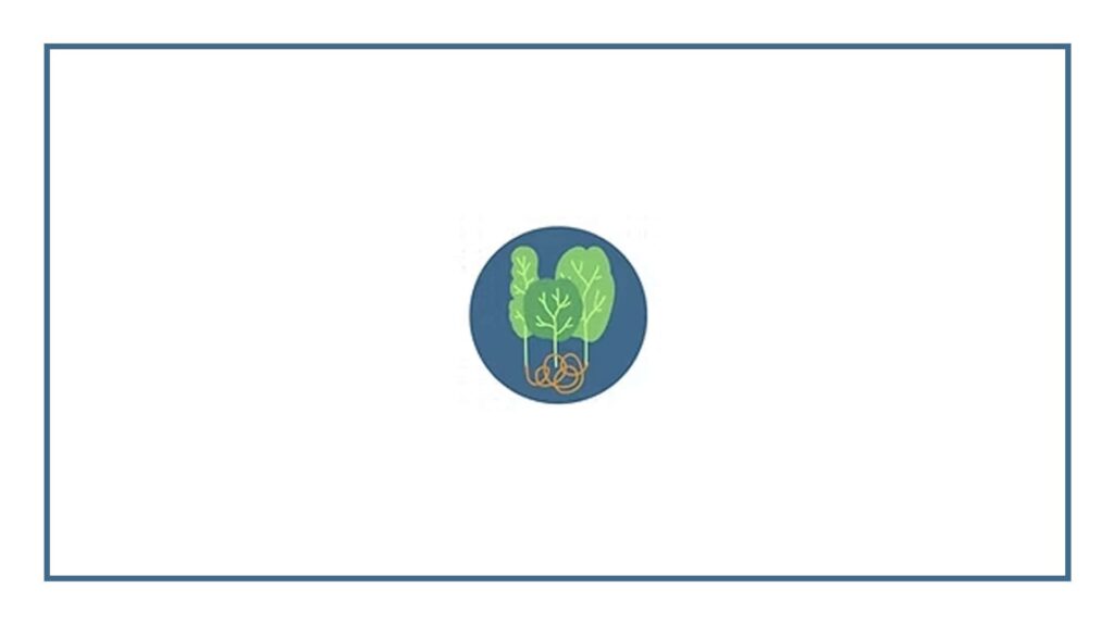 pando-counselling-psychotherapy