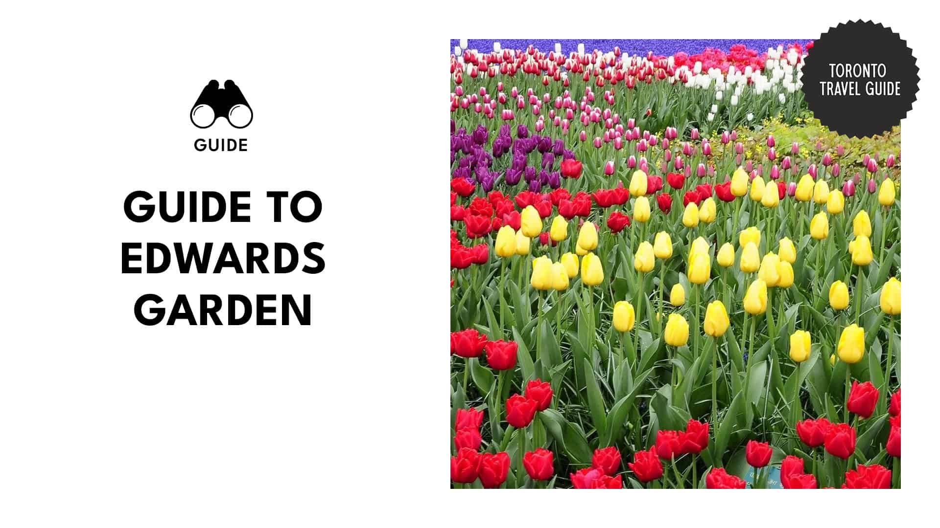 edwards-gardens-toronto
