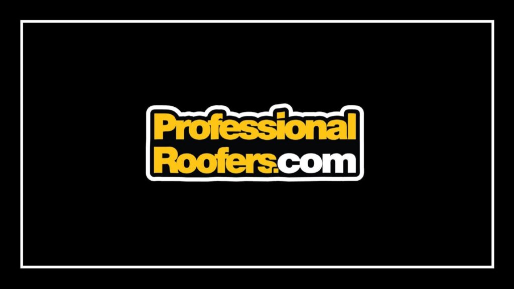 professional-roofers