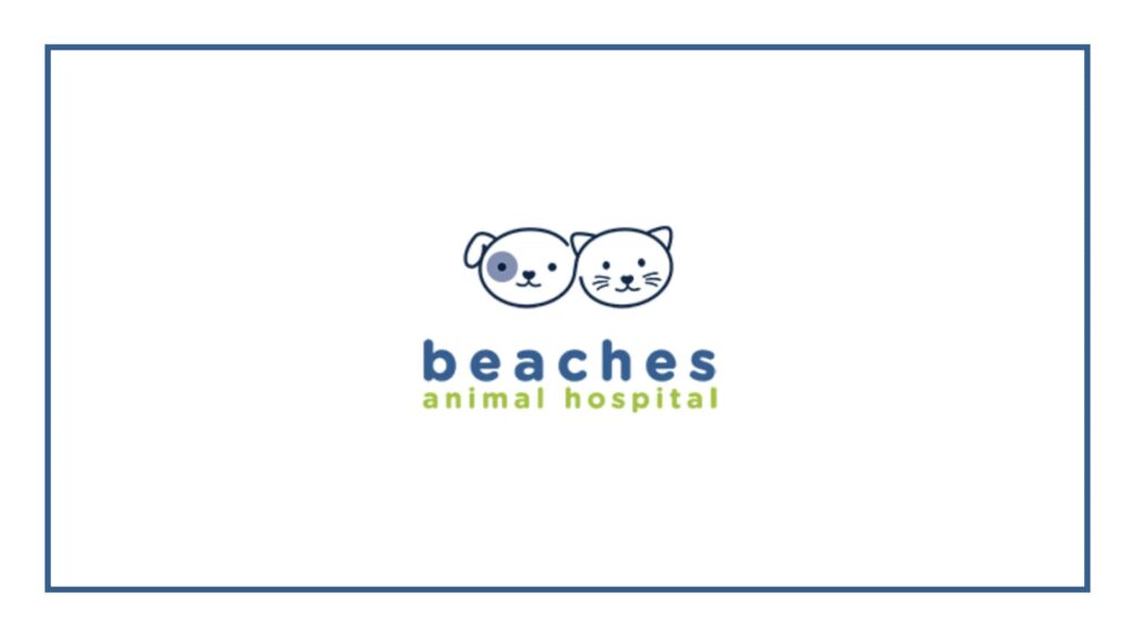 beaches-animal-hospital