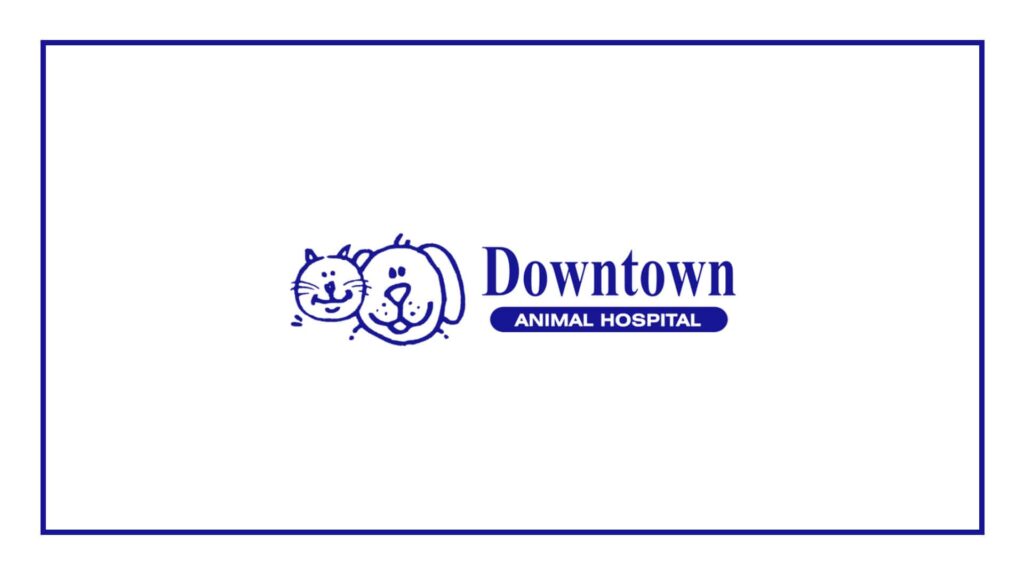 vca-canada-downtown-animal-hospital