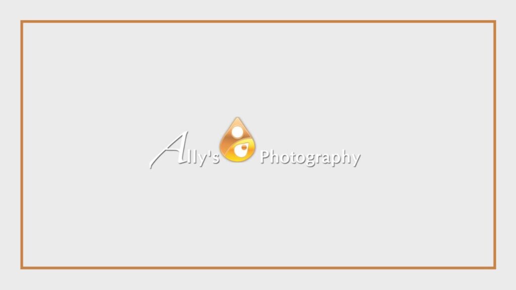 ally-s-photography