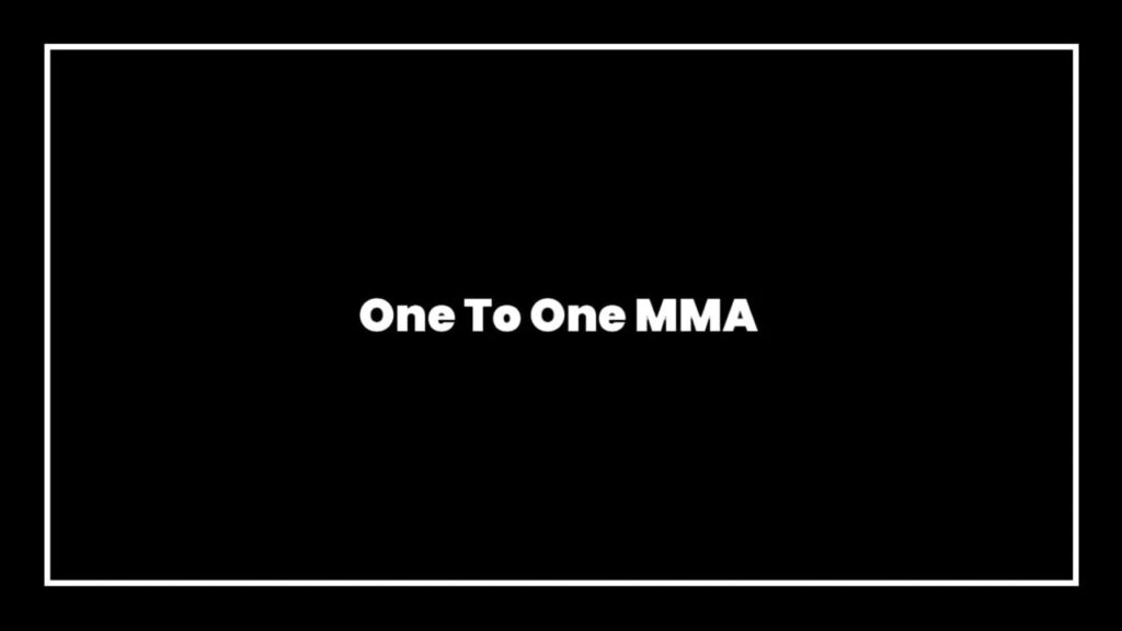 one-to-one-mixed-martial-arts