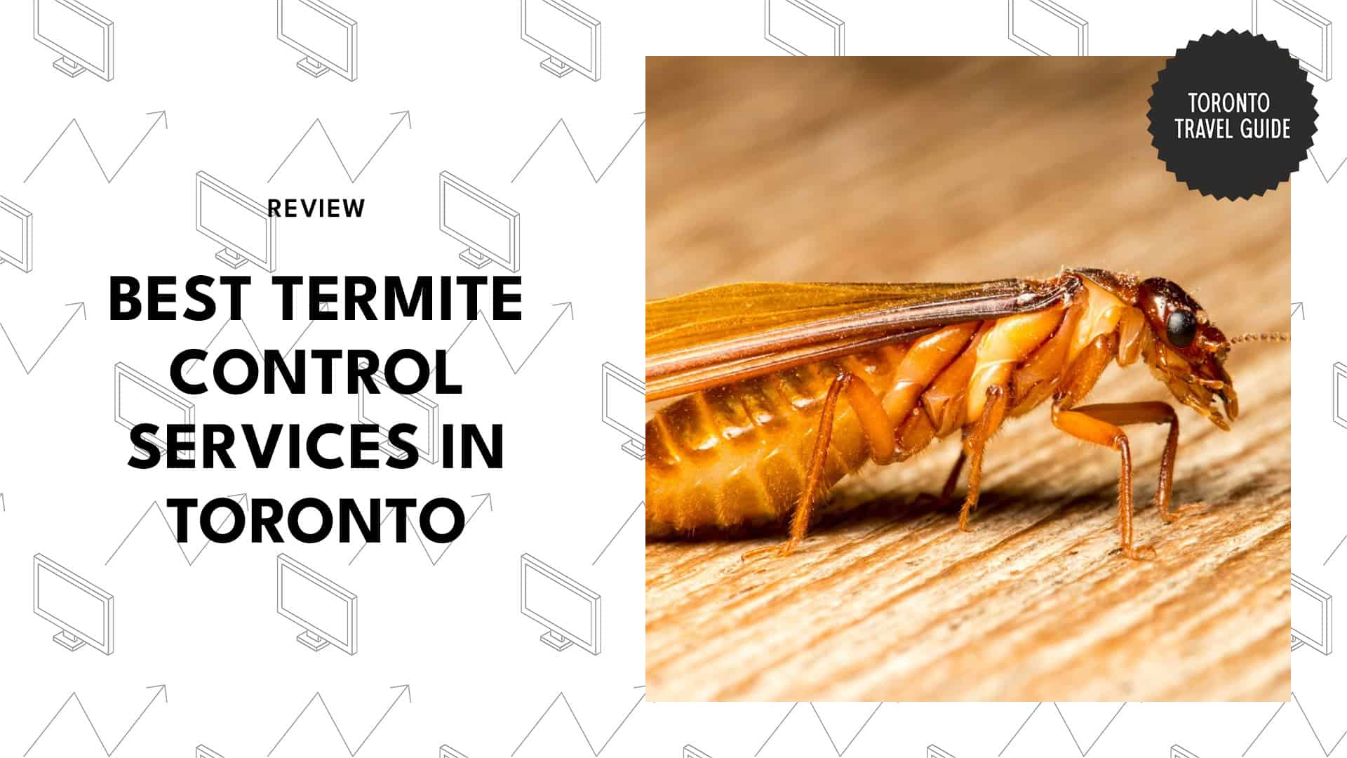 best-termite-control-toronto-banner
