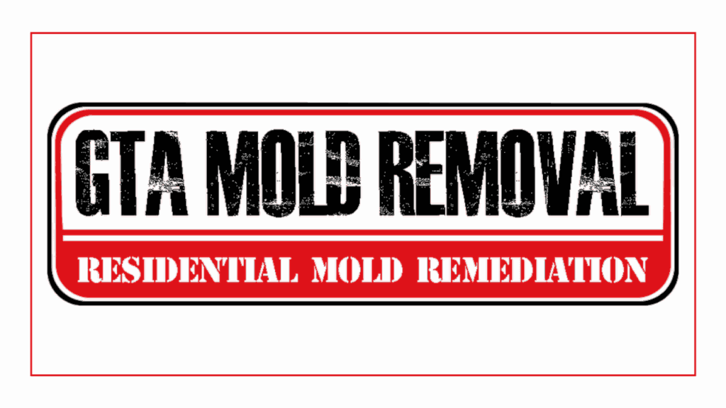 gta-mold-removal