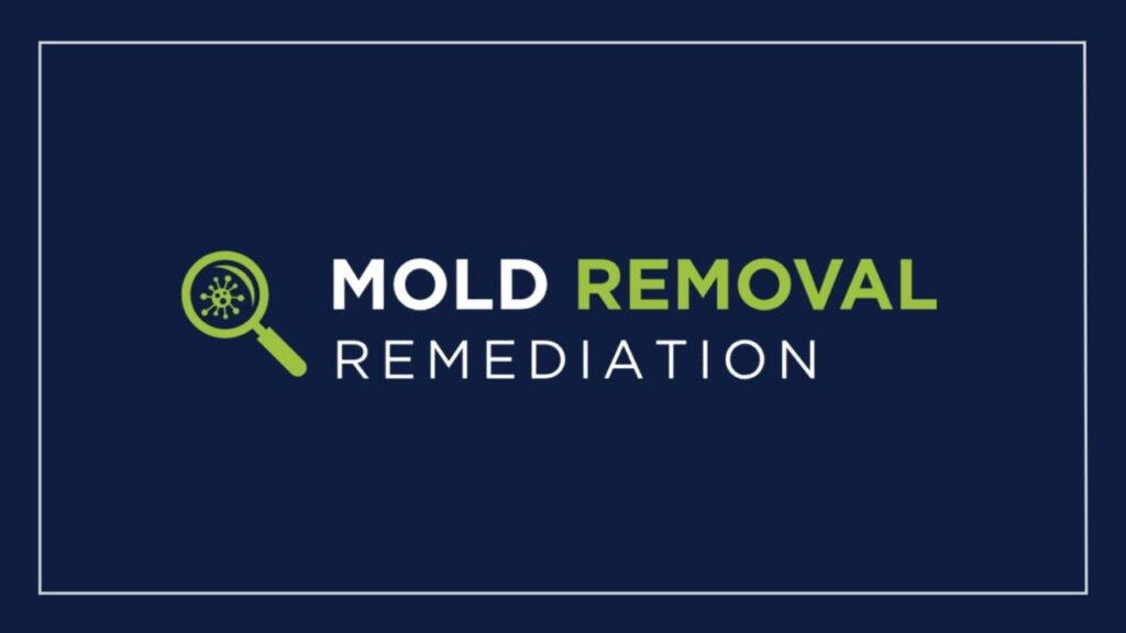 Mold Removal Remediation