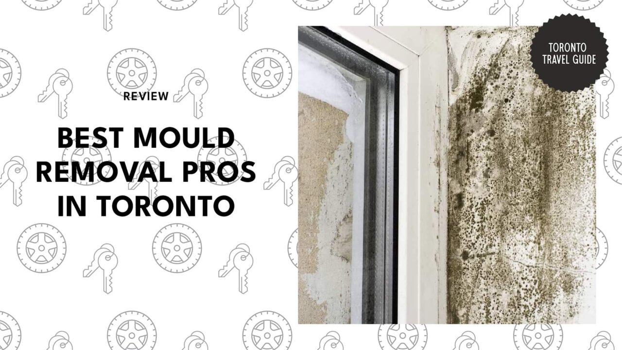 mould-removal-pros-in-toronto