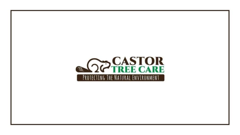 castor-tree-care-logo